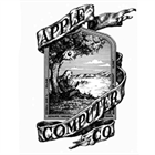 Есть ли смысл покупать именно оригинальные аксессуары Apple?