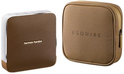 Акустическая система Harman Kardon Esquire (HKESQUIREBRNEU) - фото 11345