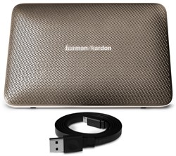 Акустическая система Harman Kardon Esquire2 (HKESQUIRE2GLD) - фото 11362