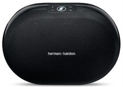 Беспроводная колонка Harman Kardon Omni 20 (HKOMNI20BLKEU) - фото 11508