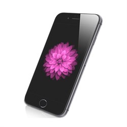 Защитное стекло Hoco Ghost series Transparent Glass filmset 0.25mm для iPhone 6/6s - фото 12146