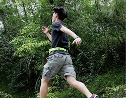 Сумка поясная для спорта Rock Universal Running Belt для смартфона (Цвет: Зелёный) - фото 15337