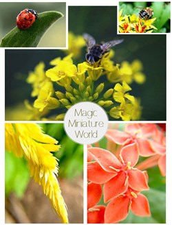 Объектив-линза Lieqi набор 3 в 1: Fisheye, Макро объектив,широкоугольная линза для iPhone 6 Цвет: Чёрный (LQ-018) - фото 20350