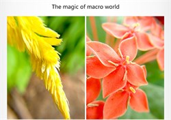 Объектив-линза Lieqi 6x Макро линза Цвет: Чёрный (LQ-006) - фото 20407