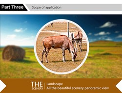 Объектив-линза Lieqi 8x "Телескопический объектив" Цвет: Чёрный/Красный (LQ-007) - фото 20428