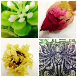 Объектив-линза Lieqi набор 4 в 1: Поляризационная линза, Макро линза, Fisheye, Широкоформатная линза. Цвет: Чёрный (LQ-008) - фото 20454