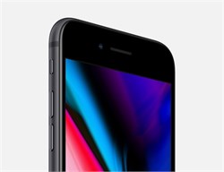 Apple iPhone 8 256 Gb Space Gray - фото 22813