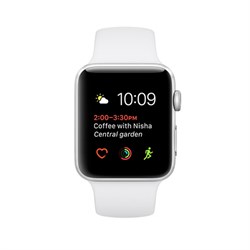 Apple Watch Series 1 42mm "Silver" - фото 24473