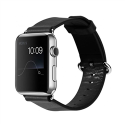 Ремешок кожанный Rock Genuine Leather Watchband для Apple Watch 42mm - фото 9842