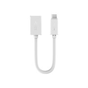 Адаптер-переходник Rock OTG Type-C/USB (RCB0416)